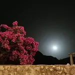 Dreaming Capri