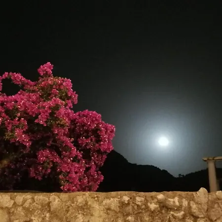 Dreaming Capri